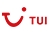 airline logo